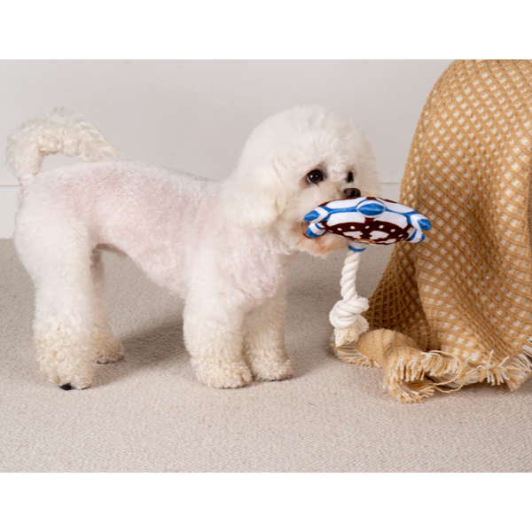 Dog Fetch Toy, Rope with Plush