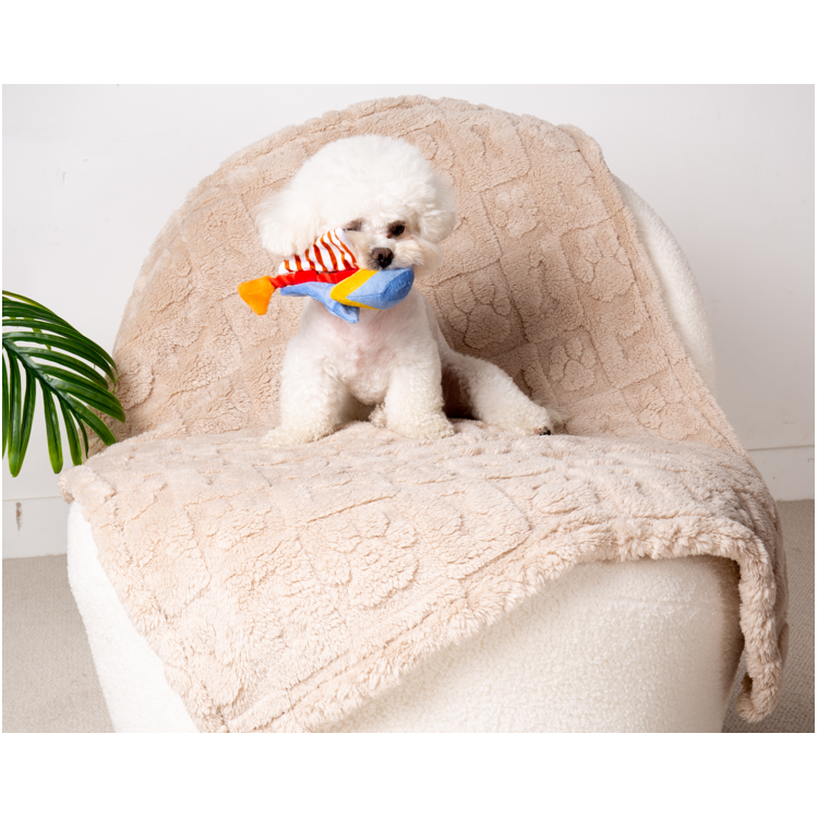 Pet Blanket & Toy